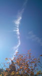 20121016112921.jpg