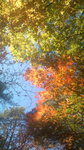 20121016113241.jpg
