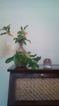 20121020131704.jpg
