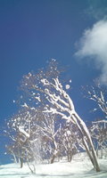 20130217124055.jpg
