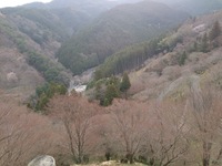 DSC_0149.jpg