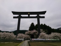 DSC_0165.jpg
