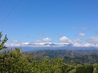 DSC_0261.jpg