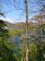 DSC_0263.jpg