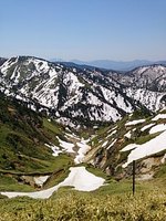 DSC_0271.jpg