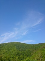 DSC_0293.jpg