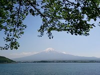 DSC_0313.jpg