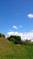 DSC_0539.jpg