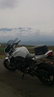 DSC_0613.jpg