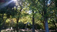DSC_0678.jpg