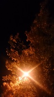 DSC_0698.jpg