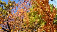 DSC_0701.jpg