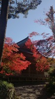 DSC_0706.jpg