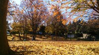 DSC_0762.jpg