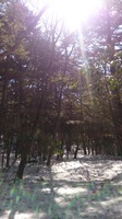 DSC_1060.jpg