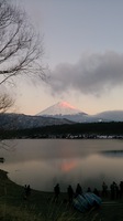 DSC_1067.jpg