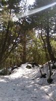 DSC_1080.jpg