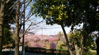 DSC_1114.jpg