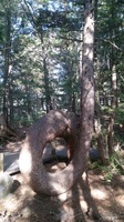 DSC_1282.jpg