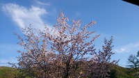 DSC_1290.jpg