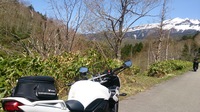 DSC_1295.jpg