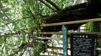 DSC_1360.jpg