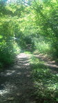 F1010274.jpg