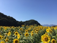 IMG_6727.JPG