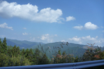 P1030145.jpg
