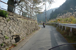 P1030195.jpg