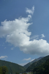 P1030220.jpg