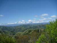 P1030826.jpg