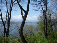 P1030841.jpg