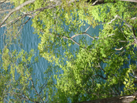 P1030844.jpg