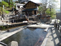 P1030884.jpg
