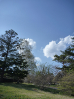 P1040002.jpg
