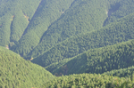 _DSC0130.jpg