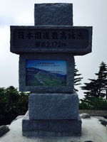 image-10446.jpg