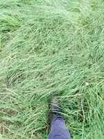 image-10569.jpeg