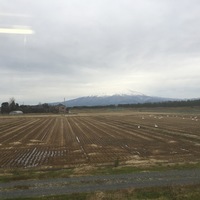 image-12492.jpeg