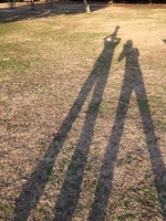image-1ab07.jpg