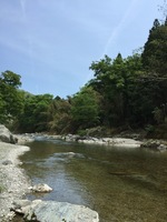 image-23036.jpg