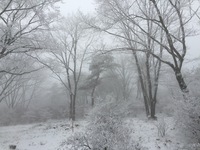 image-2c3cb.jpg