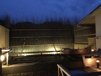 image-2f197.jpg