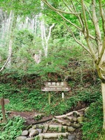 image-33445.jpg