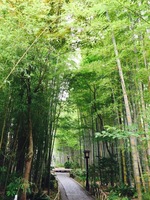 image-4c188.jpg