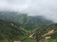 image-547b5.jpeg