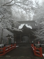 image-5cd0d.jpg