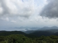 image-61801.jpg
