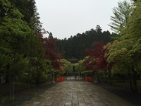 image-65200.jpg